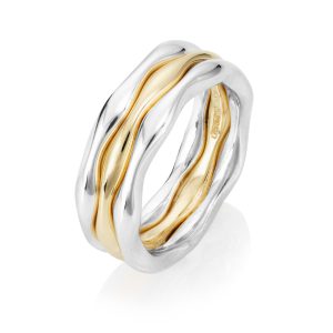 Plain Silver and Gold Rings
